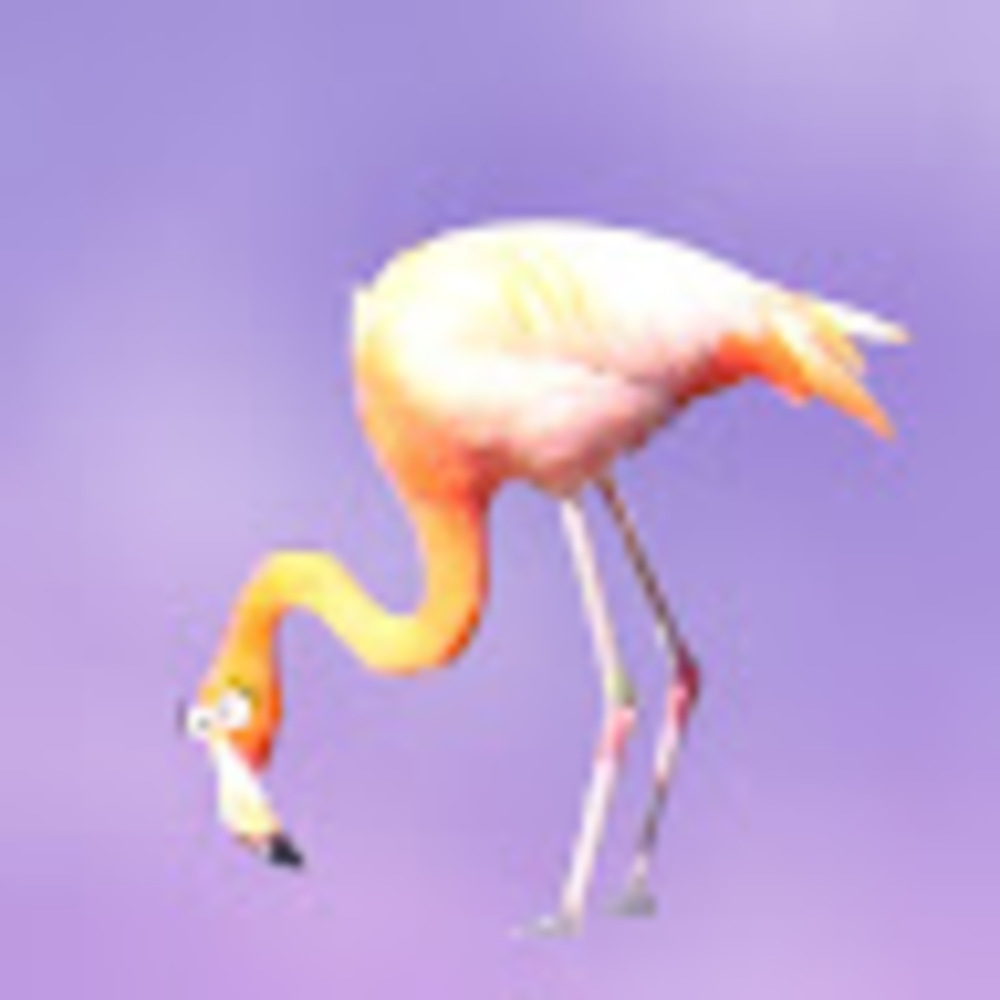 Meet your Posher, Lacey